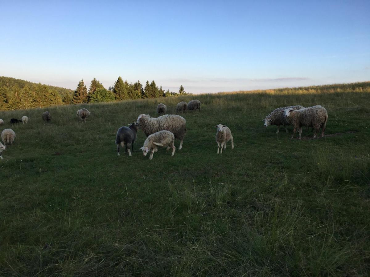 Hajovna Svahova Appartement Bolebor Buitenkant foto