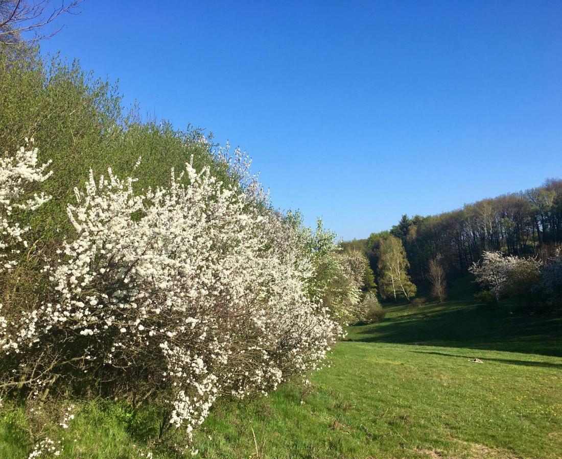 Hajovna Svahova Appartement Bolebor Buitenkant foto